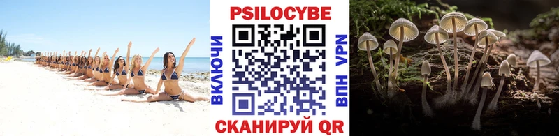 продажа наркотиков  Грязи  Галлюциногенные грибы мицелий 